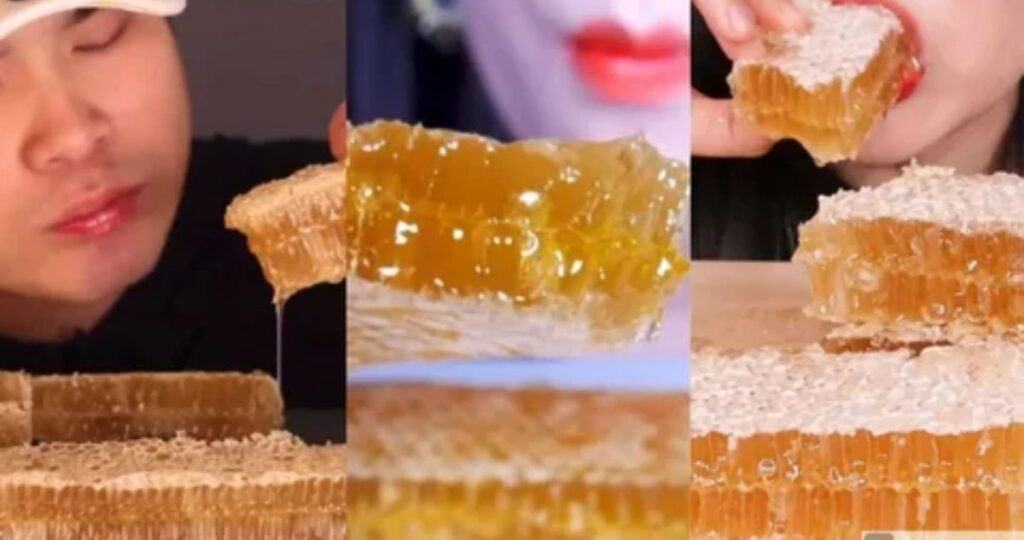 Eating Honeycomb: 7 Surprising Health Benefits
