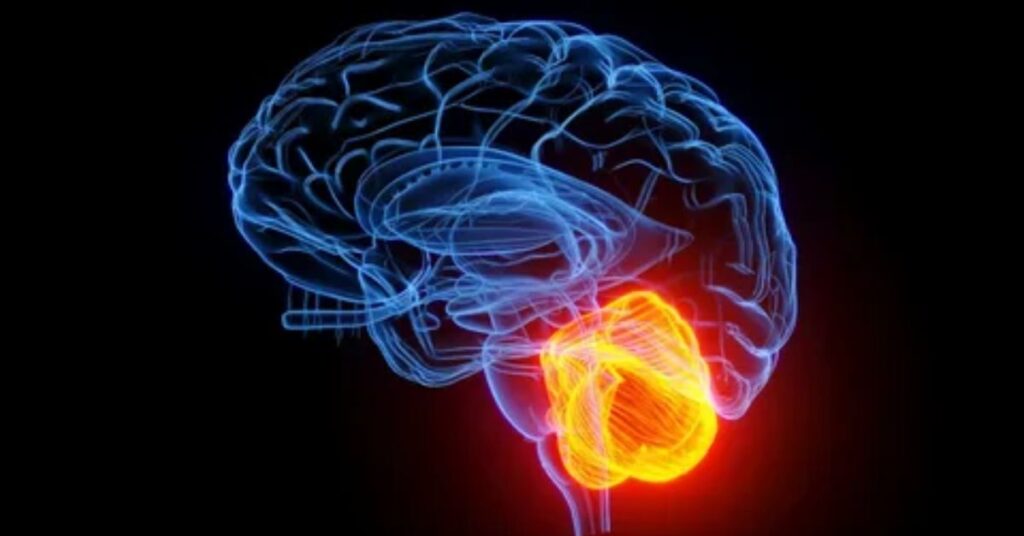 How Low Serotonin Levels Trick the Brain Into Seeking Constant Solitude